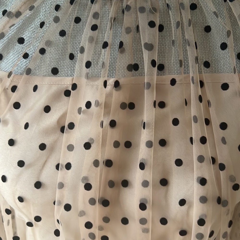 Reborn Brown Sheer Top with Black Polka Dots and Tank Liner.  Size Small - Picture 2 of 3